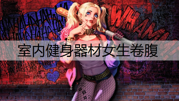 室内健身器材女生卷腹
