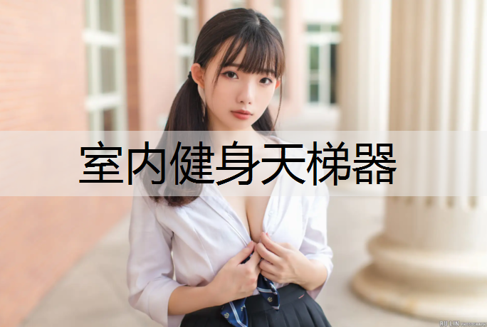 <strong>室内健身天梯器</strong>