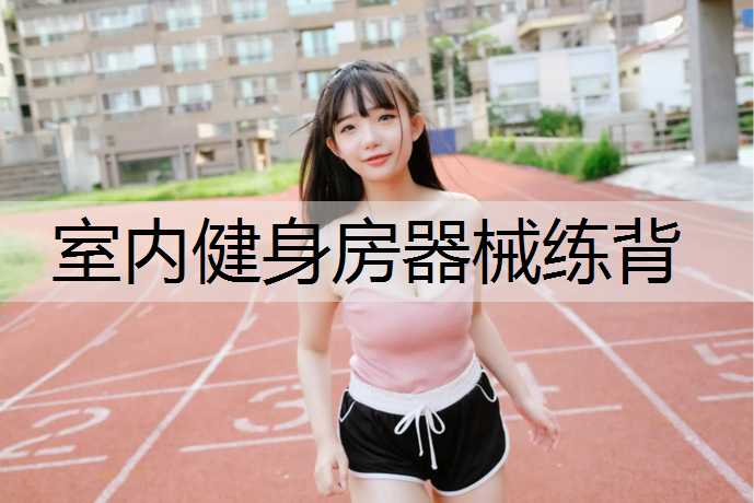 室内健身房器械练背