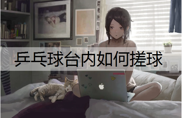 <strong>乒乓球台内如何搓球</strong>