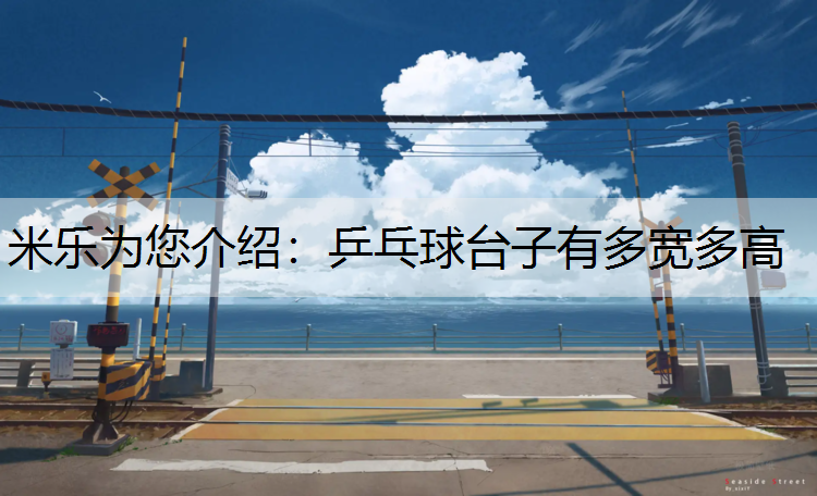 <strong>米乐为您介绍：乒乓球台子有多宽多高</strong>