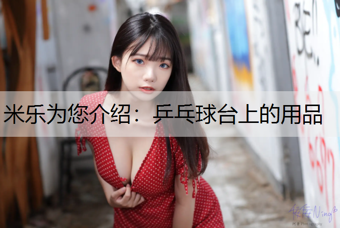 <strong>米乐为您介绍：乒乓球台上的用品</strong>