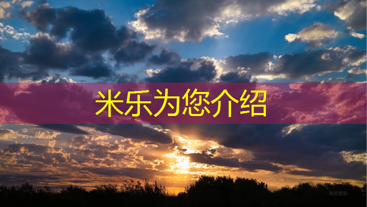 <strong>米乐为您介绍：深圳聚氨酯塑胶跑道材料</strong>
