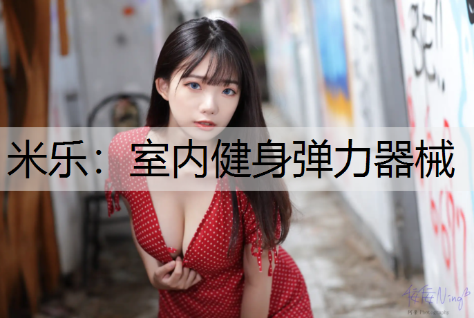 室内健身弹力器械