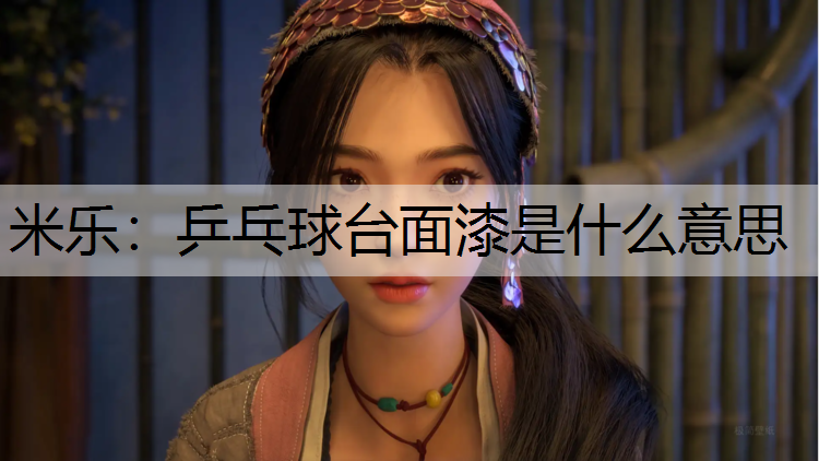 乒乓球台面漆是什么意思