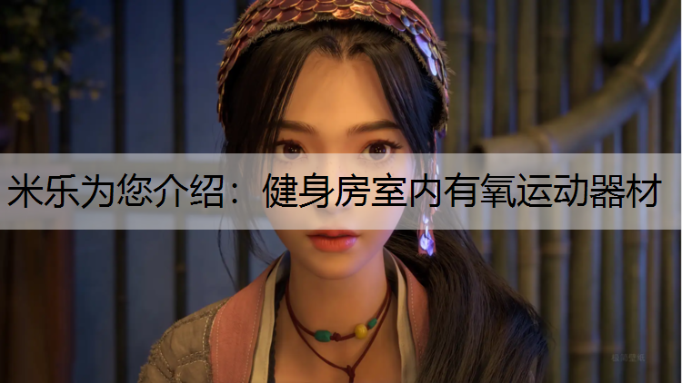 健身房室内有氧运动器材
